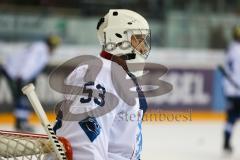 DEL - Eishockey - ERC Ingolstadt - Eisbären Berlin - Saison 2016/2017 - Kucis Bastian Torwart ERCI - Foto: Meyer Jürgen