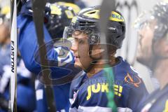 DEL - Eishockey - ERC Ingolstadt - Grizzlys Wolfsburg - Saison 2016/2017 - Martin Buchwieser (#16 ERCI) -  Foto: Meyer Jürgen