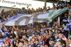 DEL - Eishockey - ERC Ingolstadt - Schwenninger Wild Wings - Saison 2016/2017 - Fans feiern das erste Tor in der Saison - jubel - Foto: Meyer Jürgen