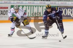 DEL - Eishockey - ERC Ingolstadt - Eisbären Berlin - Saison 2016/2017 - Thomas Oppenheimer (#8 ERCI) - Julian Talbot (#48 Berlin) - Foto: Meyer Jürgen
