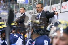 DEL - Eishockey - ERC Ingolstadt - Saison 2016/2017 - ERC Ingolstadt - Sparta Prag - Tommy Samuelsson (Cheftrainer ERCI) - Foto: Meyer Jürgen