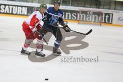 DEL - Eishockey - ERC Ingolstadt - HCB Südtirol Alperia - Saison 2016/2017 - Patrick Köppchen (#55 ERCI) - Foto: Meyer Jürgen