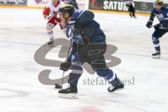 DEL - Eishockey - ERC Ingolstadt - HCB Südtirol Alperia - Saison 2016/2017 - Thomas Greilinger (#39 ERCI) - Foto: Meyer Jürgen