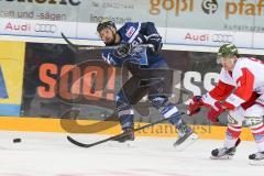 DEL - Eishockey - ERC Ingolstadt - HCB Südtirol Alperia - Saison 2016/2017 - Thomas Oppenheimer (#8 ERCI) - Foto: Meyer Jürgen