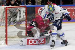 DEL - Eishockey - Kölner Haie - ERC Ingolstadt - Saison 2017/2018 - Justin Peters Torwart (#35 Köln) - Laurin Braun (#91 ERCI) - Foto: Markus Banai