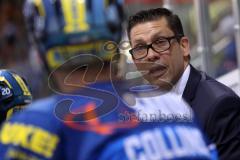 DEL - Eishockey - ERC Ingolstadt - Iserlohn Roosters - Co-Trainer Clayton Beddoes (ERC)