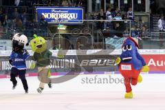 DEL - Eishockey - ERC Ingolstadt - Iserlohn Roosters - Wettlauf Rennen der Maskottchen aus Ingolstadt, Stadtwerke hat gewonnen