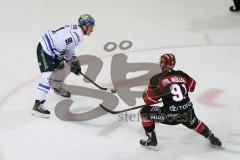 DEL - Eishockey - ERC Ingolstadt - Kölner Haie - Saison 2017/2018 - Laurin Braun (#91 ERCI) - Moritz Müller (#91 Köln) - Foto: Meyer Jürgen