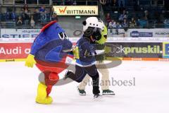 DEL - Eishockey - ERC Ingolstadt - Iserlohn Roosters - Wettlauf Rennen der Maskottchen aus Ingolstadt, Stadtwerke hat gewonnen