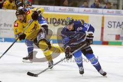 DEL - Eishockey - ERC Ingolstadt - Krefeld Pinguine - Saison 2017/2018 - David Elsner (#61 ERCI) - Martin Ness (#16Krefeld) - Foto: Meyer Jürgen
