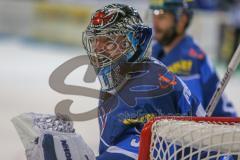 DEL - Eishockey - ERC Ingolstadt - Düsseldorfer EG - Saison 2017/2018 - Timo Pielmeier (#51Torwart ERCI) schreit seine Mitspieler an - Foto: Meyer Jürgen