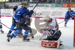 DEL - Eishockey - ERC Ingolstadt - Kölner Haie - knapp Torchance für John Laliberte (ERC 15) vor Goalie Gustaf Wesslau