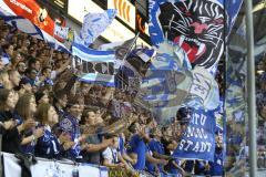 DEL - Eishockey - ERC Ingolstadt - Saison 2017/2018 - ERC Ingolstadt - Straubing Tigers - Fans - Choreo - Fahnen - Foto: Meyer Jürgen