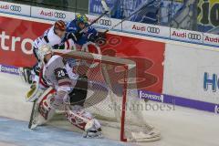 DEL - Eishockey - ERC Ingolstadt - Kölner Haie - Saison 2017/2018 - Petr Taticek (#17 ERCI) an der Bande - Gustaf Wesslau(Torwart #29 Köln) - Foto: Meyer Jürgen