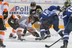 DEL - Eishockey - ERC Ingolstadt - Grizzlys Wolfsburg - Testspiel - Saison 2017/2018 - Darin Olver (#40 ERCI) beim Bully - Foto: Meyer Jürgen