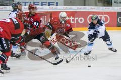 DEL - Eishockey - ERC Ingolstadt - Kölner Haie - Testspiel - Saison 2017/2018 - David Elsner (#61 ERCI) - Gustaf Wesslau(Torwart #29 Köln) - Müller Moritz #91 Köln - Foto: Meyer Jürgen
