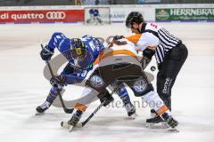 DEL - Eishockey - ERC Ingolstadt - Grizzlys Wolfsburg - Bully, Tim Wohlgemuth (ERC 33) Jeremy Welsh (13 Wolfsburg)