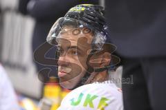 DEL - Eishockey - Saison 2018/2019 - ERC Ingolstadt - Grizzlys Wolfsburg - Thomas Greilinger (#39 ERCI) -  Foto: Meyer Jürgen