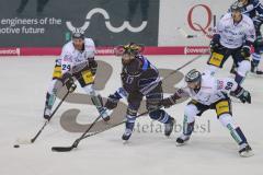 DEL - Eishockey - Saison 2018/2019 - ERC Ingolstadt - Eisbären Berlin - Petr Taticek (#17 ERCI) - Andre Rankel (#24 Berlin) - Florian Kettemer (#69 Berlin) - Foto: Meyer Jürgen