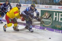 DEL - Eishockey - ERC Ingolstadt - Düsseldorf EG - Zweikampf Kevin Marshall (Nr.46, Duesseldorfer EG) Patrick Cannone (ERC 12)