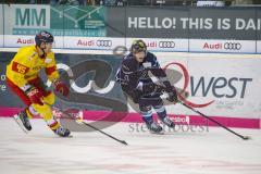 DEL - Eishockey - ERC Ingolstadt - Düsseldorf EG - Alexandre Picard (Nr.45, Duesseldorfer EG) Joachim Ramoser (ERC 47)