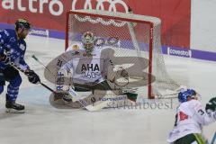 DEL - Eishockey - Saison 2018/2019 - ERC Ingolstadt - Augsburger Panther - Jerry D´Àmigo (#9 ERCI) - Olivier Roy Torwart (#31 Augsburg) - Foto: Meyer Jürgen