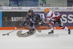 DEL - Eishockey - Saison 2018/2019 - ERC Ingolstadt - Fischtown Pinguins - Thomas Greilinger (#39 ERCI) - Nicolas B.Jensen (#48 Bremerhaven) - Foto: Meyer Jürgen