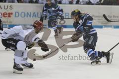DEL - Eishockey - Saison 2018/2019 - ERC Ingolstadt - Kölner Haie - Tyler Kelleher (#19 ERCI) - Foto: Meyer Jürgen