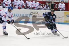 DEL - Eishockey - Saison 2018/2019 - ERC Ingolstadt - Adler Mannheim - Tim Wohlgemuth (#33 ERCI) - Foto: Meyer Jürgen