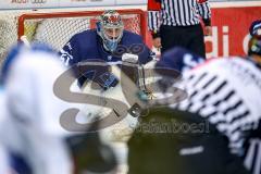 DEL - Eishockey - ERC Ingolstadt - Adler Mannheim - Torwart Timo Pielmeier (ERC 51) unter Beschuß konzentriert