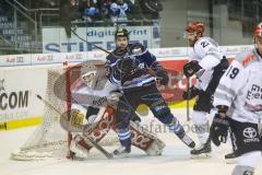 DEL - Eishockey - ERC Ingolstadt - Kölner Haie - PlayOff VF - Spiel 2 - #er 61#vor Torwart Gustaf Wesslau (29 Köln)