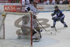 DEL - Eishockey - Saison 2018/2019 - ERC Ingolstadt - Kölner Haie - Gustaf Wesslau Torwart (#29 Köln)  - Darin Olver (#40 ERCI) - Foto: Meyer Jürgen