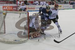 DEL - Eishockey - Saison 2018/2019 - ERC Ingolstadt - Kölner Haie - Gustaf Wesslau Torwart (#29 Köln) - Jerry D´Àmigo (#9 ERCI) - Foto: Meyer Jürgen