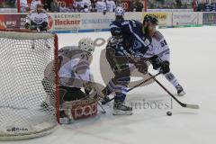 DEL - Eishockey - Saison 2018/2019 - ERC Ingolstadt - Kölner Haie - Gustaf Wesslau Torwart (#29 Köln) - Jerry D´Àmigo (#9 ERCI) - Foto: Meyer Jürgen