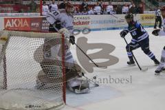 DEL - Eishockey - Saison 2018/2019 - ERC Ingolstadt - Kölner Haie - Gustaf Wesslau Torwart (#29 Köln)  - Darin Olver (#40 ERCI) - Foto: Meyer Jürgen