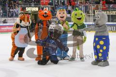 DEL - Eishockey - Saison 2019/20 - ERC Ingolstadt -  Kölner Haie - Maskottchen - Xaver - Foto: Jürgen Meyer