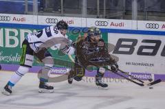 DEL - Eishockey - ERC Ingolstadt - EHC Straubing - Darin Olver (ERC 40)