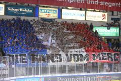 DEL - Eishockey - Saison 2019/20 - ERC Ingolstadt - Adler Mannheim - Fankurve Mannheim - Foto: Jürgen Meyer