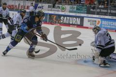 DEL - Eishockey - Saison 2019/20 - ERC Ingolstadt - Nürnberg Ice Tigers - Kris Foucault (#81 ERCI) - Niklas Treutle Torwart (#31 Nürnberg) - Foto: Jürgen Meyer