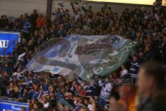 DEL - Eishockey - Saison 2019/20 - ERC Ingolstadt - Adler Mannheim - Fankurve - choreo-banner - Foto: Jürgen Meyer