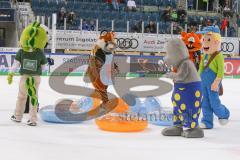 DEL - Eishockey - Saison 2019/20 - ERC Ingolstadt -  Kölner Haie - Maskottchen - Xaver - Foto: Jürgen Meyer