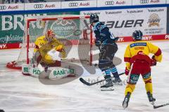 DEL; Playoffs; ERC Ingolstadt - DEG Düsseldorf; Tor Jubel Treffer Charles Bertrand (33 ERC) Torwart Henrik Haukeland (Nr.40 - DEG)