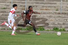 A-Junioren Bundesliga -  Saison 2026/27 - FC Ingolstadt 04 - VFB Stuttgart - Apemegno Blom rot FCI - Zarella Gabriel weiss Stuttgart -  Foto: Meyer Jürgen