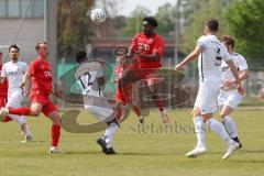 Bayernliga Nord - Saison 2023/24 - FC Ingolstadt 04 II - TSV Abtswind - Michael Udebuluzor (Nr.11 - FCI) - Tuda Jayson #12 weiss Abtswind - Foto: Meyer Jürgen