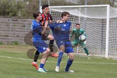 Bayernliga Nord - Saison 2024/25 - FC Ingolstadt 04 II - Würzburger FV 04 - Davide Sekulovic (Nr.7 - FCI U21) - Gobbo Fabio blau Würzburg links - Hansen Hendrik blau Würzburg - Foto: Meyer Jürgen