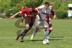 Bezirksliga - Saison 2023/24 - TSV Gaimersheim - SpVgg Kammerberg - Nico von Swiontek Brezinski (Nr.17 - Gaimersheim) - Daniel Seybold rot Kammerberg - Foto: Meyer Jürgen