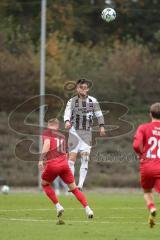 3. Liga; TSV Havelse - FC Ingolstadt 04; Linus Rosenlöcher (19, FCI) Schumacher Kevin (10 TSV)