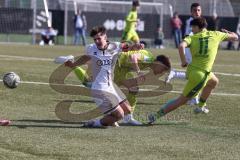 U17 DFB-Nachwuchsliga - Saison 2024/25 - FC Ingolstadt 04 - TSG Hoffenheim - XXXXX - XXXXX - Foto: Meyer Jürgen
