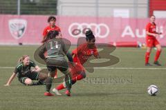 Frauen - Bayernliga -  FC Ingolstadt 04 II -SV Frensdorf -  Sarah Müller rot FCI - Verena Lechner grau Frensdorf - Foto: Meyer Jürgen