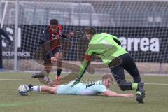 Bayernliga Nord - Saison 2024/25 - FC Ingolstadt 04 II - DJK Ammerthal - Micah Ham (Nr.25 - FCI U21) - Michael Janner blau Ammerthal - Christopher Sommerer Torwart Ammerthal - Foto: Meyer Jürgen